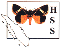 HSS Logo © 1999