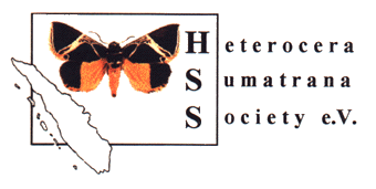 Heterocera Sumatrana Society e.V. (© 1999 HSS e.V.)
